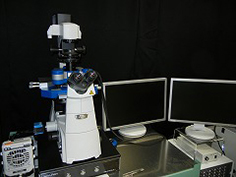 research environment